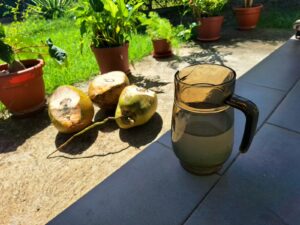 Lire la suite à propos de l’article Eau de coco